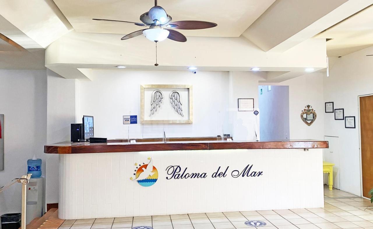 巴亞爾塔港 Paloma Del Mar (Adults Only)酒店 外观 照片